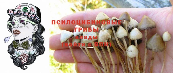 мдпв Нея