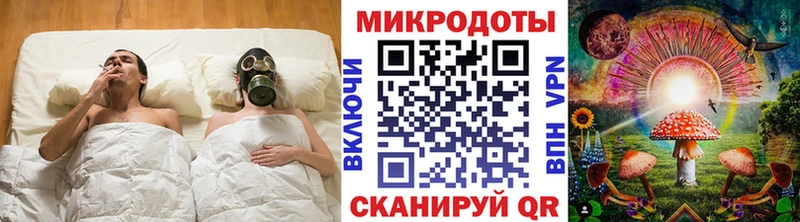 Купить где  Кириллов  Галлюциногенные грибы Magic Shrooms 